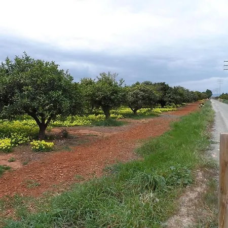 Jardines De Iii * Dénia