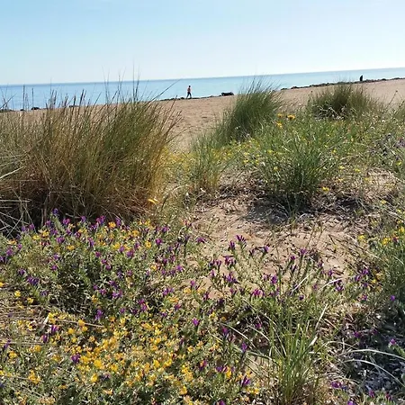 Сasa de vacaciones Jardines De Iii Dénia
